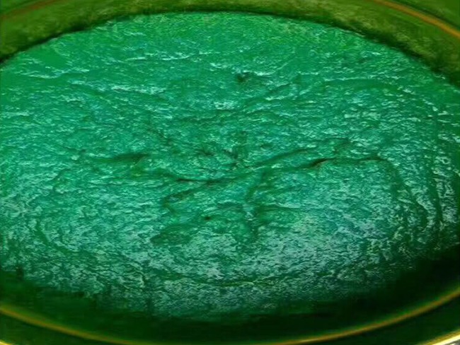 耐蝕鱗片膠泥在脫硫煙道中的應(yīng)用